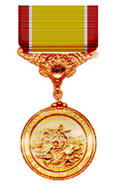 Gold Lifesaving Medal - Superthinribbons