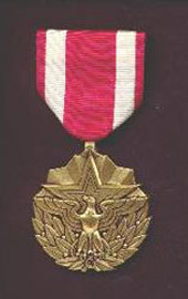Meritorious Service Medal - Superthin Ribbons