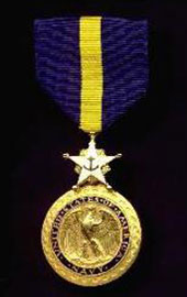 Navy Distinguished Service Medal - Superthinribbons